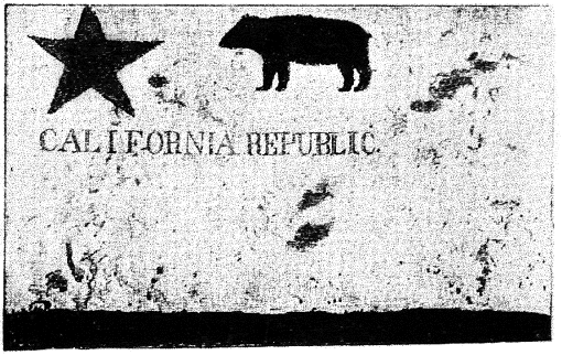 photograph of the original Bear Flag of California taken in 1890